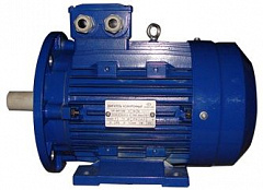 Электродвигатель АИР 315М6